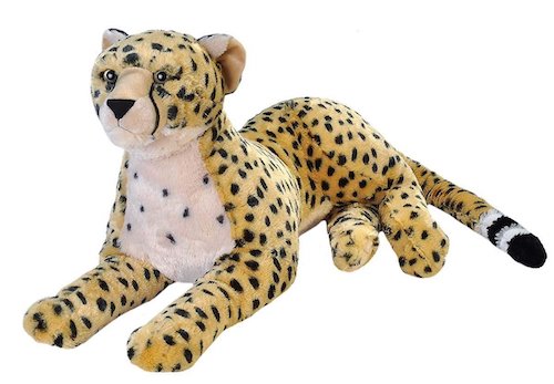 Jumbo Cheetah