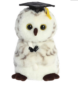 Graduation - 9" Smart Owl