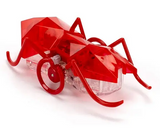 Hexbug - Micro Ant Assortment -