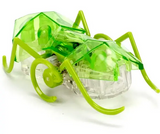 Hexbug - Micro Ant Assortment -