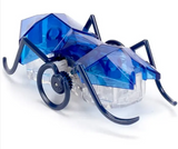 Hexbug - Micro Ant Assortment -