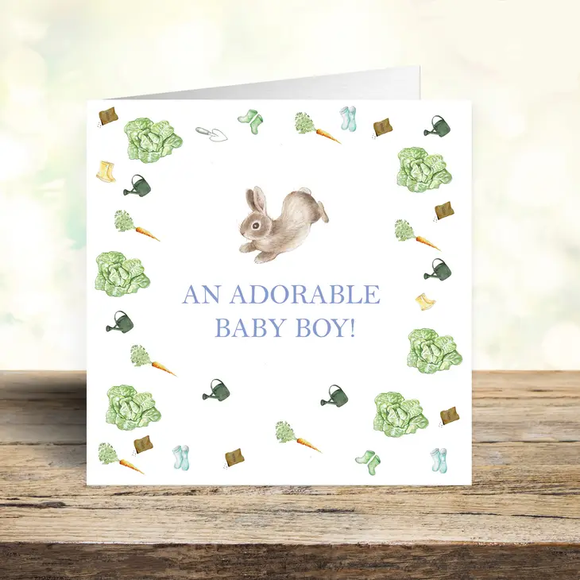 Baby Boy Rabbit Design Card (New Baby)