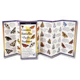 Common Butterflies of the Pacific Northwest: A Waterproof Field Guide