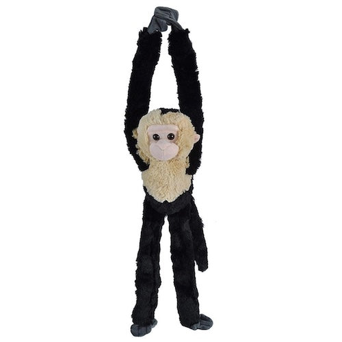 Hanging Monkey Capuchin 20