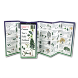 Sibley’s Common Trees of the Pacific Northwest: A Waterproof Field Guide