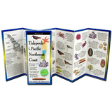 Tidepools of the Pacific Northwest Coast: A Waterproof Field Guide
