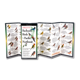 Sibley’s Backyard Birds of the Pacific Northwest: A Waterproof Field Guide