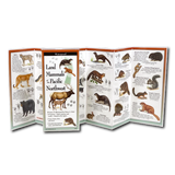 Land Mammals of the Pacific Northwest: A Waterproof Field Guide