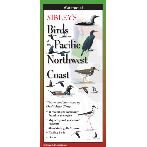 Sibley’s Birds of the Pacific Northwest Coast Field Guide