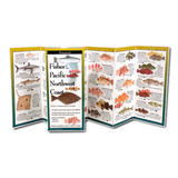 Fishes of the Pacific Northwest Coast: A Waterproof Field Guide