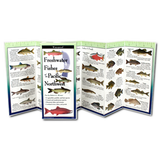 Freshwater Fishes of the Pacific Northwest Field Guide