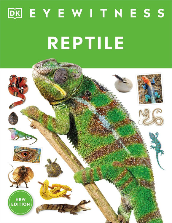Eyewitness: Reptile