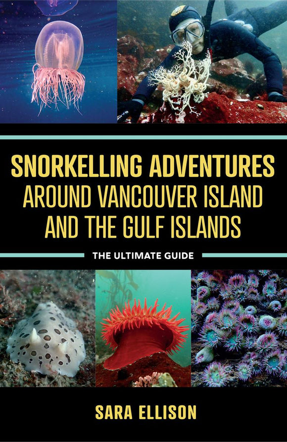 Snorkelling Adventures Around Vancouver Island and the Gulf Islands: The Ultimate Guide