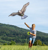 Terra Kids Bald Eagle Kite