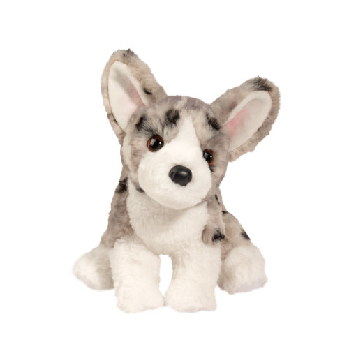 Codie Corgi Soft 9