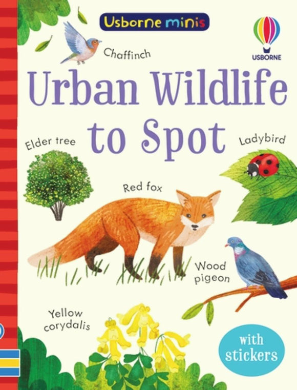 Usborne Minis: Urban Wildlife to Spot