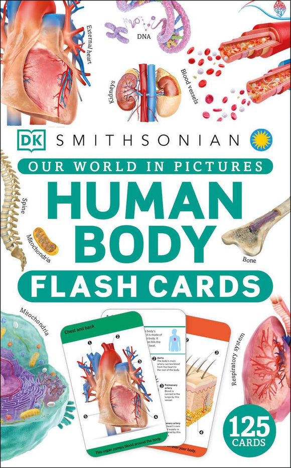 Our World in Pictures: Human Body Flash Cards