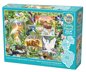 Family Puzzle - River Magic 350pc (2023)