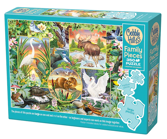 Family Puzzle - River Magic 350pc (2023)