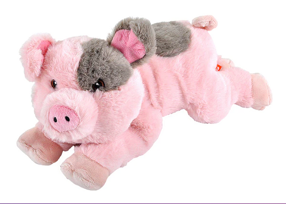 Ecokins Pig 12