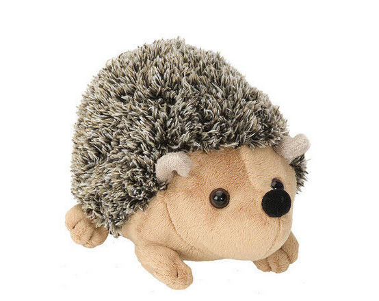 CK Mini Hedgehog 7.5