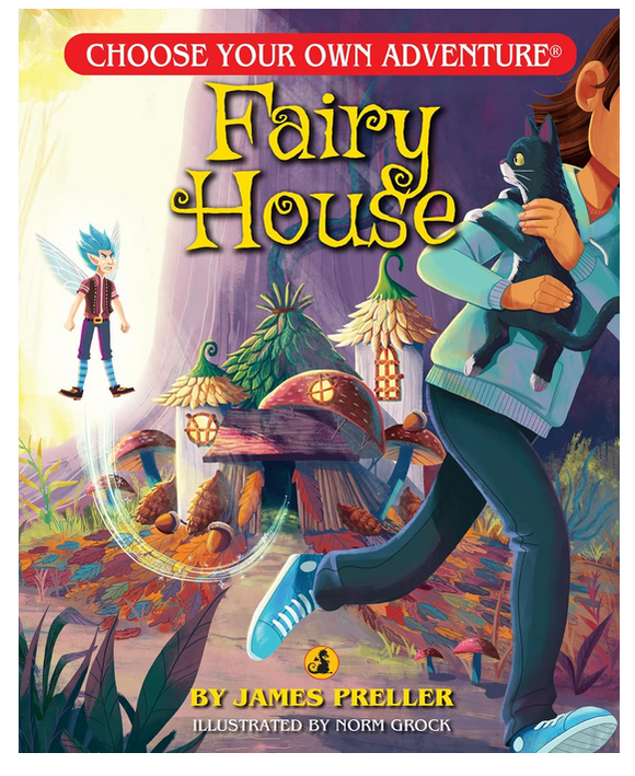 Choose Your Own Adventure: Dragonlark Fairy House