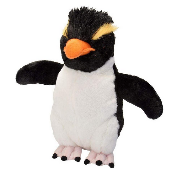 CK Rockhopper Penguin 12