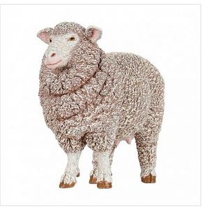 Merinos Sheep (Ewe)