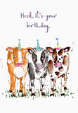 Cows Herd It's Your Birthday Card