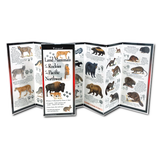 Land Mammals of the Rockies & the Pacific Northwest Field Guide