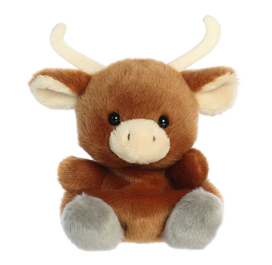 Palm Pals - Landon Longhorn 5