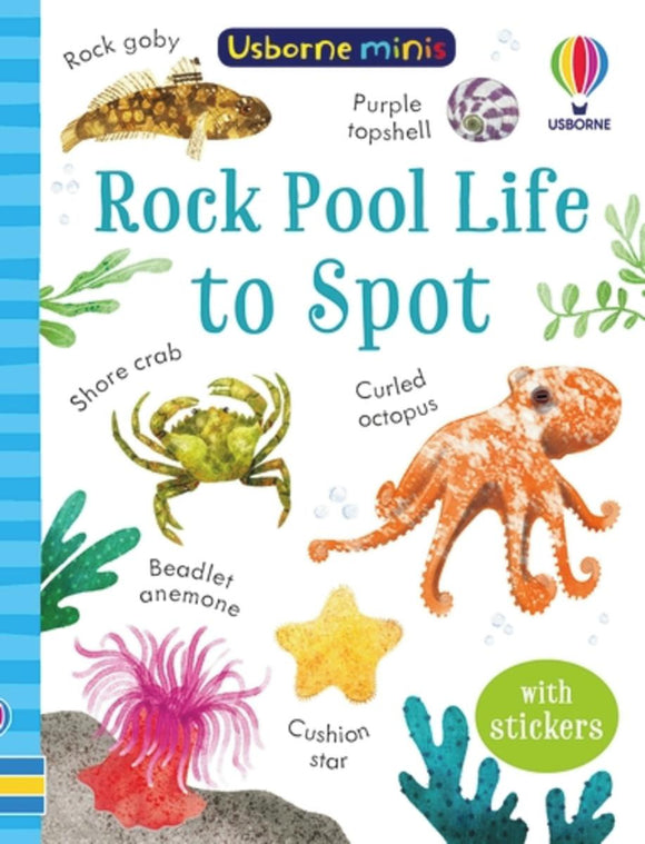 Usborne Minis: Rock Pool Life to Spot
