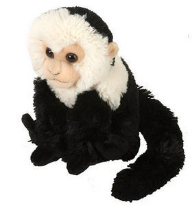 Cuddlekins Mini Capuchin 8"