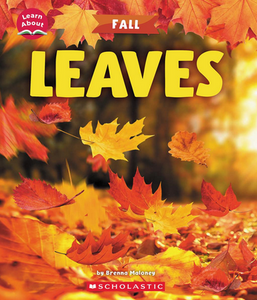 Learn About Fall: Leaves