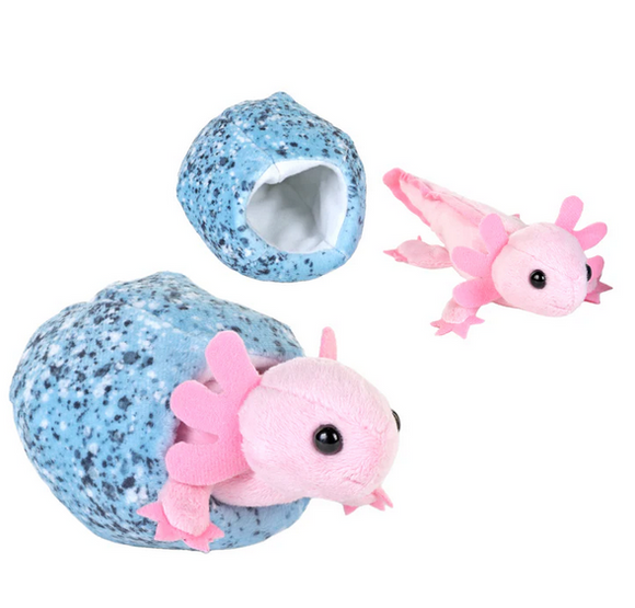 Hatchling Axolotl