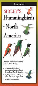 A Field Guide to Sibley's Hummingbirds of North America