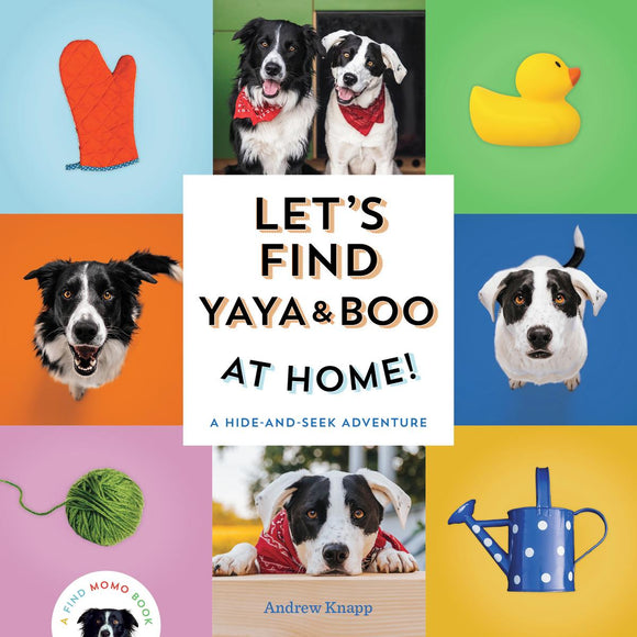 Let's find Yaya and Boo at Home! A Hide and Seek Adventure