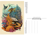 Oceanarium 50 Postcard Box Set