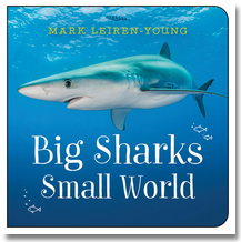 Big Sharks, Small World