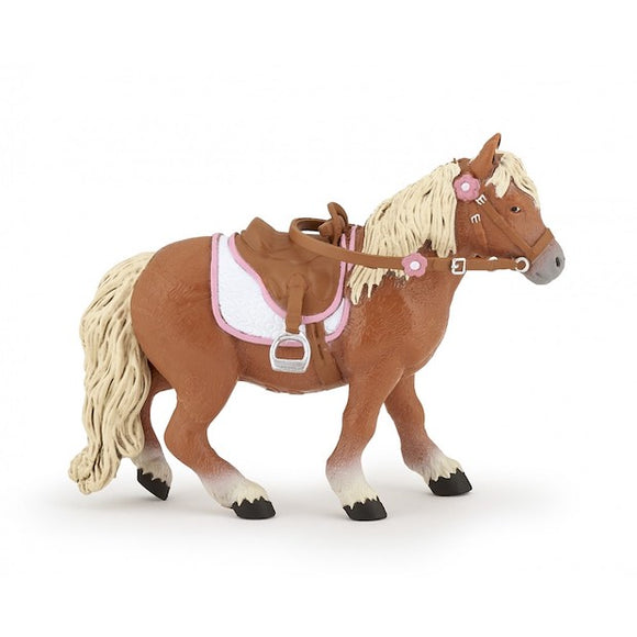 Shetland Pony with Saddle