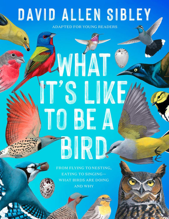What It's Like to Be a Bird: From Flying to Nesting, Eating to Singing, What Birds are Doing and Why (Adapted for Young Readers)