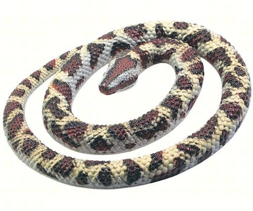 26” Rock Python