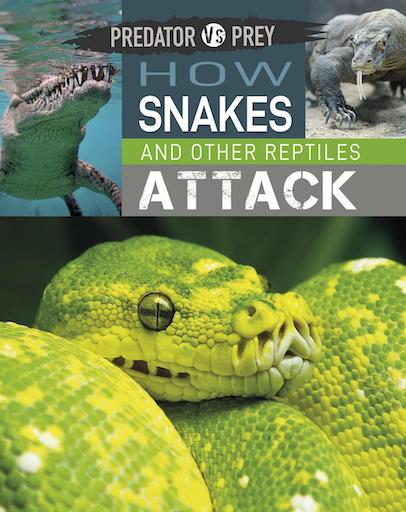 Predator vs. Prey: How Snakes and Other Reptiles Attack!