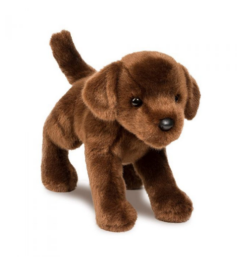 C.C. Bean Chocolate Lab 10