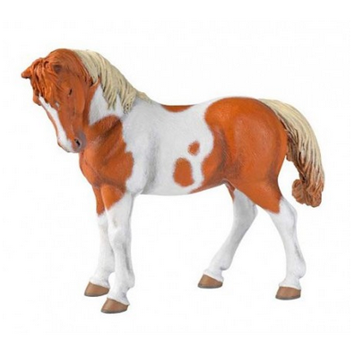Pinto Mare Horse