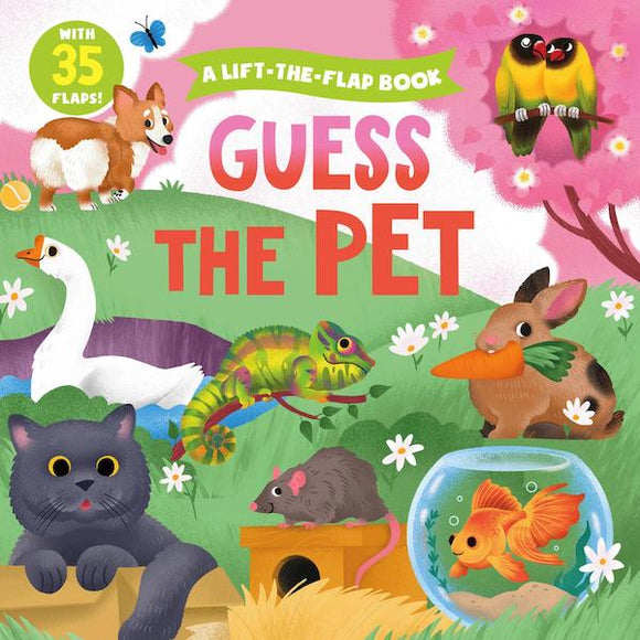 Clever Hide & Seek: Guess the Pet