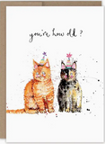 Cats  - You're How Old? Birthday Card