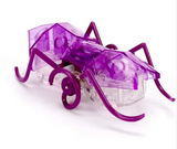 Hexbug - Micro Ant Assortment -
