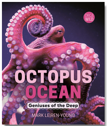 Octopus Ocean: Geniuses of the Deep
