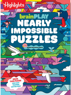 brainPLAY Nearly Impossible Puzzles